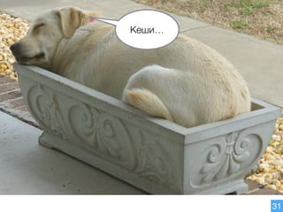 31
Кеши…
 