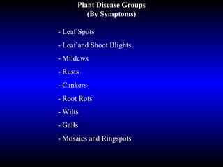 Plant Disease Groups (By Symptoms) - Leaf Spots - Leaf and Shoot Blights - Mildews - Rusts - Cankers - Root Rots - Wilts - Galls - Mosaics and Ringspots 