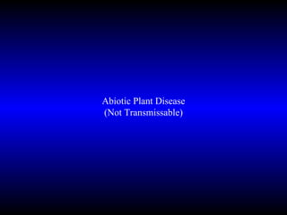 Abiotic Plant Disease (Not Transmissable) 