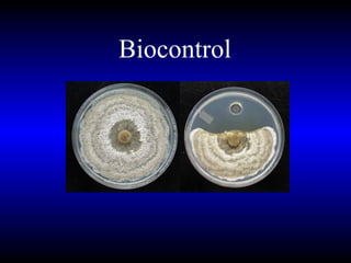Biocontrol 