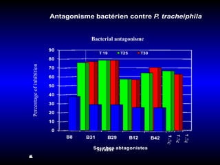 Percentage of inhibition Strains Bacterial antagonisme °c °c °c 