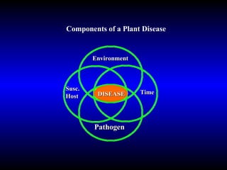 WSU Extension San Juan County DISEASE Pathogen Susc. Host Environment Time Components of a Plant Disease Time DISEASE Environment Pathogen Susc.  Host Components of a Plant Disease 