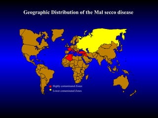 Highly  contaminated  Zones  Lower contaminated Zones Geographic Distribution of the Mal secco disease 