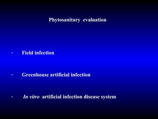Phytosanitary   evaluation Field infection Greenhouse artificial infection In vitro  artificial infection disease system 