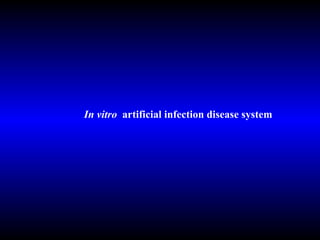 In vitro  artificial infection disease system 