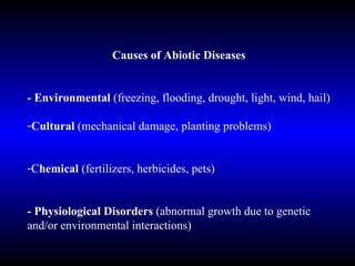 Causes of Abiotic Diseases - Environmental  (freezing, flooding, drought, light, wind, hail) Cultural  (mechanical damage, planting problems) C hemical  (fertilizers, herbicides, pets) - Physiological Disorders  (abnormal growth due to genetic and/or environmental interactions) 