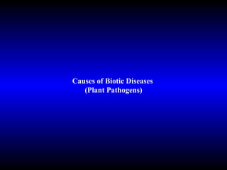 Causes of Biotic Diseases  (Plant Pathogens) 