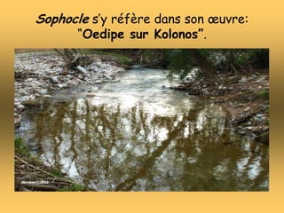 Sophocle s’y réfère dans son œuvre:
“Oedipe sur Kolonos”.
 