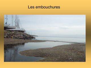 Les embouchures
 