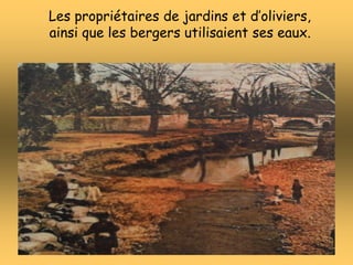 Les propriétaires de jardins et d’oliviers,
ainsi que les bergers utilisaient ses eaux.
 