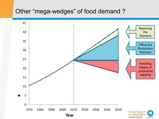 Other “mega-wedges” of food demand ? Filling the Production Demand Avoiding losses of productive capacity Reducing the Dem...