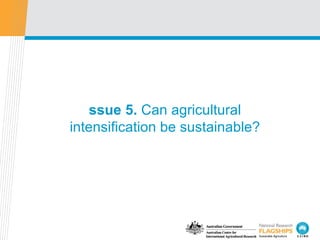 Issue 5.  Can agricultural intensification be sustainable? 