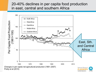 20-40% declines in per capita food production in east, central and southern Africa Changes in per capita net agricultural ...