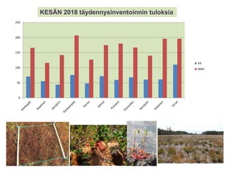 KESÄN 2018 täydennysinventoinnin tuloksia
0
50
100
150
200
250
KA
MAX
 