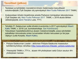 • Pohjois-Satakunnan Leader - aktiivinen Pohjois-Satakunta maaseudun
kehittämisyhdistys rahoittaa (http://www.aktiivinen.fi/leader_pohjois-satakunta)
• Yhteistyötä TAMK:n ,TTY:n, alueen 4H-yhdistyksen sekä Oulun seudun 4H-
yhdistyksen kanssa
Tavoitteet (jatkoa)
• Testataan ja kehitetään menetelmä kihokin lisäämiseksi kasvullisesti
solukkoviljelyllä (Tytti Sarjalan ohj.opinnäytetyö Meri-Tuulia Pelkonen 2017 TAMK)
• Analysoidaan kihokin bioaktiivisia aineita Parkanon toimipaikan laboratoriossa
(Tytti Sarjalan ohj. Meri-Tuulia Pelkonen 2017 TAMK, v. 2018 alusta lähtien
väitöskirjatyötä Jenni Tienaho Luke, TTY)
• Tehdään P- Satakunnan soilla kihokki-inventointia (v.2017 opinnäytetyö Maarit
Kallio TAMK, v. 2018 Luk, luontokartoittaja Sari Kantinkoski)
• Toteutetaan haastattelututkimus alueen metsänomistajille, jossa selvitetään
paikallisten kiinnostusta omien turvemaiden kihokin keruuseen ja /tai jopa
viljelyyn (Leila Korpela, Maarit Kallio).
 