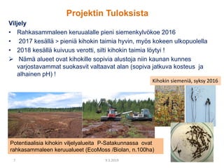 Projektin Tuloksista
Viljely
• Rahkasammaleen keruualalle pieni siemenkylvökoe 2016
• 2017 kesällä > pieniä kihokin taimia hyvin, myös kokeen ulkopuolella
• 2018 kesällä kuivuus verotti, silti kihokin taimia löytyi !
 Nämä alueet ovat kihokille sopivia alustoja niin kaunan kunnes
varjostavammat suokasvit valtaavat alan (sopiva jatkuva kosteus ja
alhainen pH) !
7 9.3.2019 Leila Korpela
Kihokin siemeniä, syksy 2016
Potentiaalisia kihokin viljelyalueita P-Satakunnassa ovat
rahkasammaleen keruualueet (EcoMoss /Biolan, n.100ha)
 