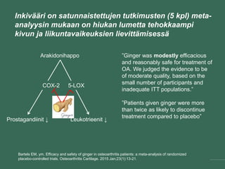 Inkivääri on satunnaistettujen tutkimusten (5 kpl) meta-
analyysin mukaan hiukan lumetta tehokkaampi kivun ja
liikuntavaikeuksien lievittämisessä
”Ginger was modestly efficacious
and reasonably safe for treatment of
OA. We judged the evidence to be
of moderate quality, based on the
small number of participants and
inadequate ITT populations.”
”Patients given ginger were more
than twice as likely to discontinue
treatment compared to placebo”
Bartels EM, ym. Efficacy and safety of ginger in osteoarthritis patients: a meta-analysis of randomized
placebo-controlled trials. Osteoarthritis Cartilage. 2015 Jan;23(1):13-21.
Arakidonihappo
COX-2
Leukotrieenit ↓Prostagandiinit ↓
5-LOX
 