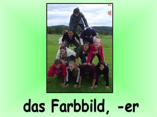 das Farbbild, -er