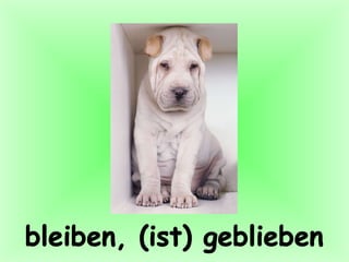 bleiben, (ist) geblieben 