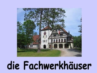 die Fachwerkhäuser 
