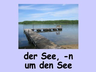 der See, -n um den See 