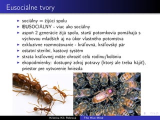 Eusociálne tvory
sociálny = žijúci spolu
EUSOCIÁLNY - viac ako sociálny
aspoň 2 generácie žijú spolu, starší potomkovia pomáhajú s
výchovou mladších aj na úkor vlastného potomstva
exkluzívne rozmnožovanie - kráľovná, kráľovský pár
ostatní sterilní, kastový systém
strata kráľovnej môže ohroziť celú rodinu/kolóniu
ekopodmienky: dostupný zdroj potravy (ktorý ale treba hájiť),
priestor pre vytvorenie hniezda
Kristína Kik Rebrová The Hive Mind
 