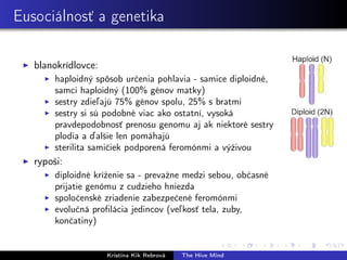 Eusociálnosť a genetika
blanokrídlovce:
haploidný spôsob určenia pohlavia - samice diploidné,
samci haploidný (100% génov matky)
sestry zdieľajú 75% génov spolu, 25% s bratmi
sestry si sú podobné viac ako ostatní, vysoká
pravdepodobnosť prenosu genomu aj ak niektoré sestry
plodia a ďalšie len pomáhajú
sterilita samičiek podporená feromónmi a výživou
rypoši:
diploidné kríženie sa - prevažne medzi sebou, občasné
prijatie genómu z cudzieho hniezda
spoločenské zriadenie zabezpečené feromónmi
evolučná proﬁlácia jedincov (veľkosť tela, zuby,
končatiny)
Kristína Kik Rebrová The Hive Mind
 