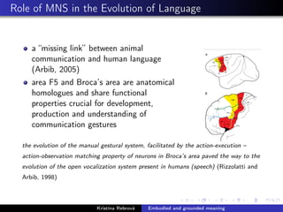 Role of MNS in the Evolution of Language
a “missing link” between animal
communication and human language
(Arbib, 2005)
area F5 and Broca’s area are anatomical
homologues and share functional
properties crucial for development,
production and understanding of
communication gestures
the evolution of the manual gestural system, facilitated by the action-execution –
action-observation matching property of neurons in Broca’s area paved the way to the
evolution of the open vocalization system present in humans (speech) (Rizzolatti and
Arbib, 1998)
Kristína Rebrová Embodied and grounded meaning
 