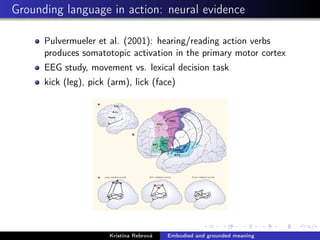 Grounding language in action: neural evidence
Pulvermueler et al. (2001): hearing/reading action verbs
produces somatotopic activation in the primary motor cortex
EEG study, movement vs. lexical decision task
kick (leg), pick (arm), lick (face)
Kristína Rebrová Embodied and grounded meaning
 