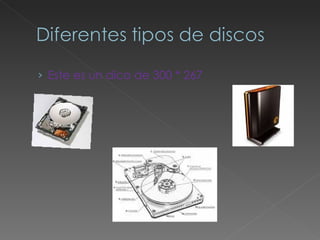 Este es un dico de 300 * 267 