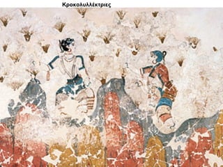 Κροκολυλλέκτριες
 