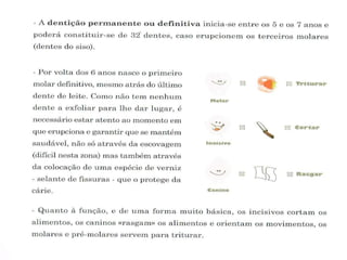 Kiko o dentinho de leite