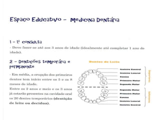 Kiko o dentinho de leite