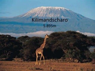 Kilimandscharo5.895m 