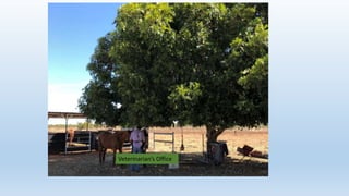 Veterinarian’s Office
 