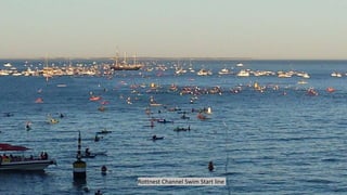 Rottnest Channel Swim Start line
 