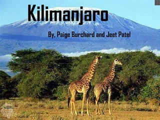 Kilimanjaro By, Paige Burchard and Jeet Patel 