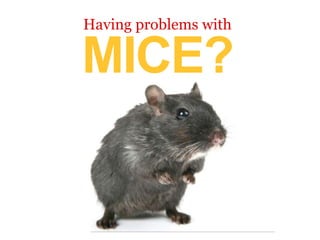 Having problems with
MICE?
 