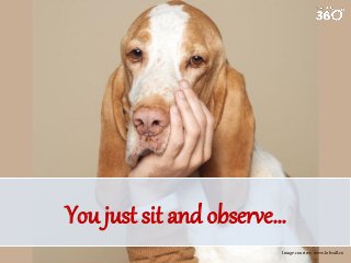 You just sit and observe…
Image courtesy: www.lolwall.co

 