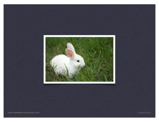 LEAN UX FUNDAMENTALS, KELLOGG EDITION 04/2011   JANICE@LUXR.CO
 