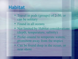 Habitat Travel in pods (groups) of 2-50, or can be solitary Found in all oceans Not limited by Habitat considerations (depth, temperature, salinity) Prefer coastal to temperate waters; prominent away from the tropics Can be found deep in the ocean, or near shore 