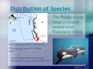 Distribution of Species The Pacific Ocean range is located around south Vancouver Island David E Myers/Tony Stone Images Killer Whale Family David E Myers/Tony Stone Images Microsoft® Encarta® Encyclopedia 2002.  Map courtesy of SpeciesAtRisk.gc.ca !This map only depicts the resident range! 