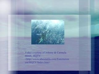 Video courtesy of Johnny & Carmela Hinds; HQTV <http://www.aboututila.com/Entertainment/HQTV/Index.htm> 