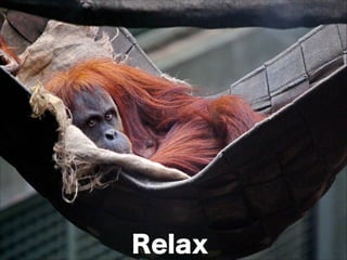 Relax
 