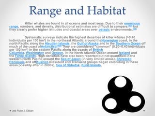 Range and Habitat
Killer whales are found in all oceans and most seas. Due to their enormous
range, numbers, and density, distributional estimates are difficult to compare,[92] but
they clearly prefer higher latitudes and coastal areas over pelagic environments.[93]
Systematic surveys indicate the highest densities of killer whales (>0.40
individuals per 100 km²) in the northeast Atlantic around theNorwegian coast, in the
north Pacific along the Aleutian Islands, the Gulf of Alaska and in the Southern Ocean off
much of the coast ofAntarctica.[92] They are considered "common" (0.20–0.40 individuals
per 100 km²) in the eastern Pacific along the coasts of British
Columbia, Washington and Oregon, in the North Atlantic Ocean around Iceland and
the Faroe Islands. High densities have also been reported but not quantified in the
western North Pacific around the Sea of Japan (in very limited areas), Shiretoko
Peninsula and offKushiro (Resident and Transient groups began colonizing in these
areas possibly after in 2000s), Sea of Okhotsk, Kuril Islands,
Jed Ryan J. Eldian
 