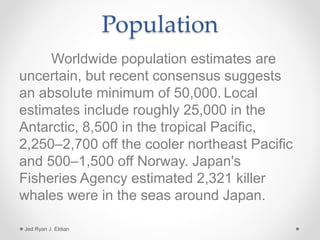 Population
Worldwide population estimates are
uncertain, but recent consensus suggests
an absolute minimum of 50,000. Local
estimates include roughly 25,000 in the
Antarctic, 8,500 in the tropical Pacific,
2,250–2,700 off the cooler northeast Pacific
and 500–1,500 off Norway. Japan's
Fisheries Agency estimated 2,321 killer
whales were in the seas around Japan.
Jed Ryan J. Eldian
 