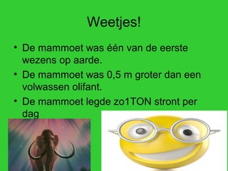 Weetjes!
• De mammoet was één van de eerste
  wezens op aarde.
• De mammoet was 0,5 m groter dan een
  volwassen olifant.
• De mammoet legde zo1TON stront per
  dag
 