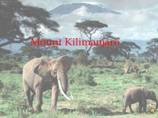 Mount Kilimanjaro  