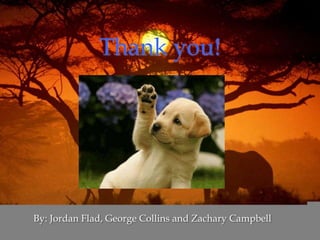 Thank you!By: Jordan Flad, George Collins and Zachary Campbell