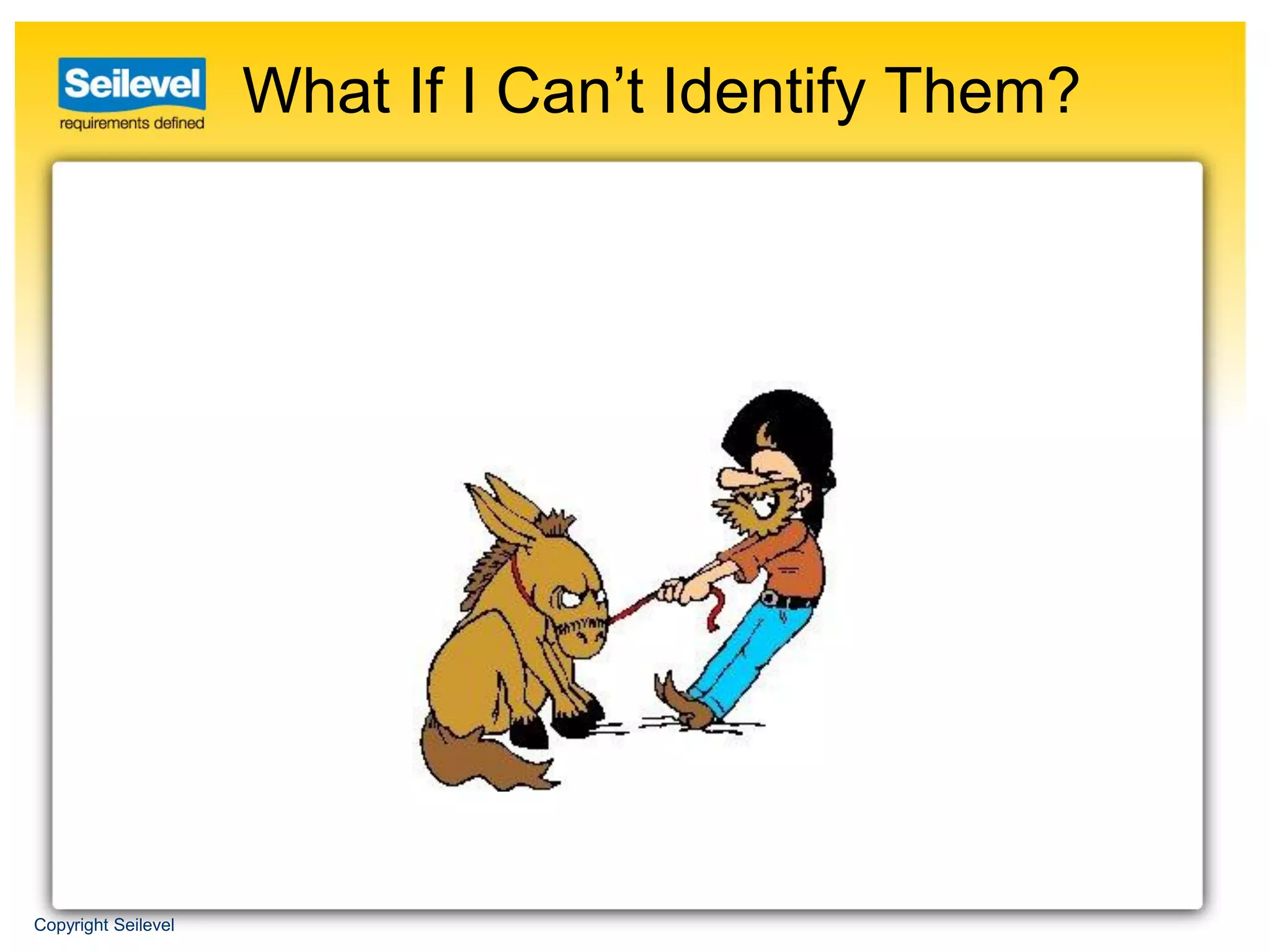 What If I Can’t Identify Them?




Copyright Seilevel
 